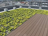 屋上緑化